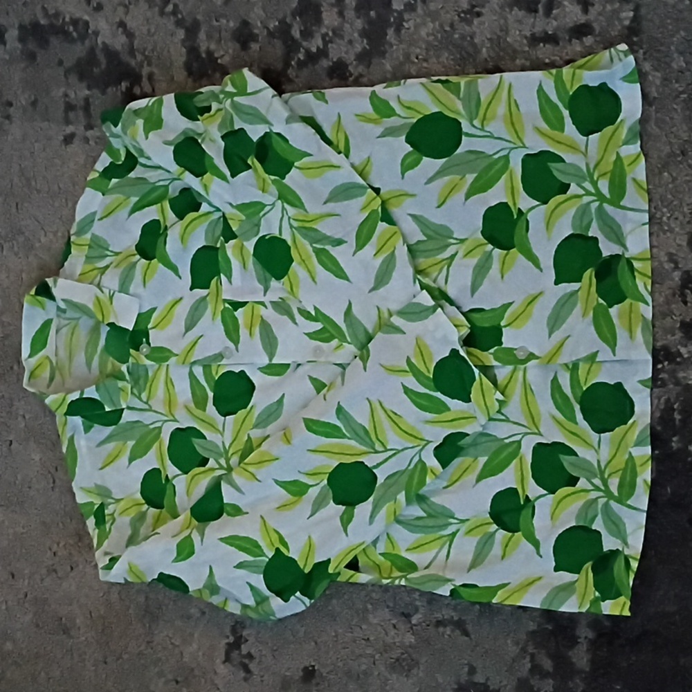 Print Fresh Men's Limes Pajama Set - Picture 4 of 7